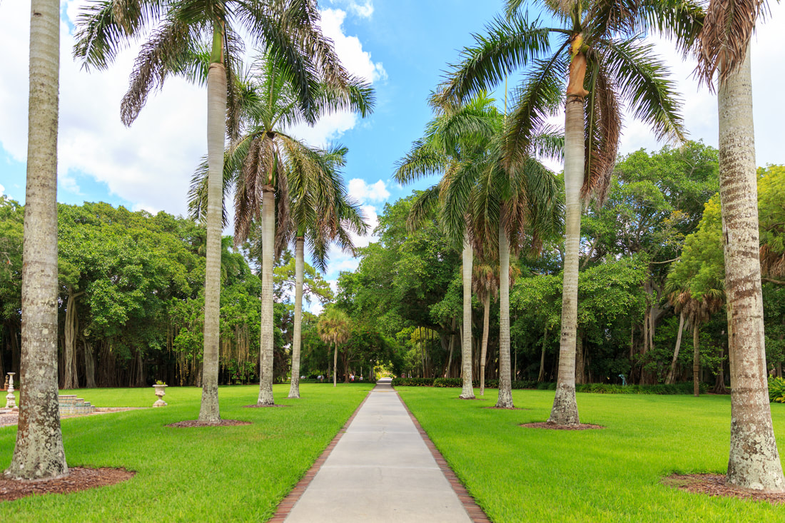This is a picture of lawn maintenance in Boca Raton FLorida