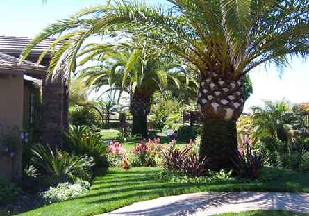 Home Landscaping Palm Beach County